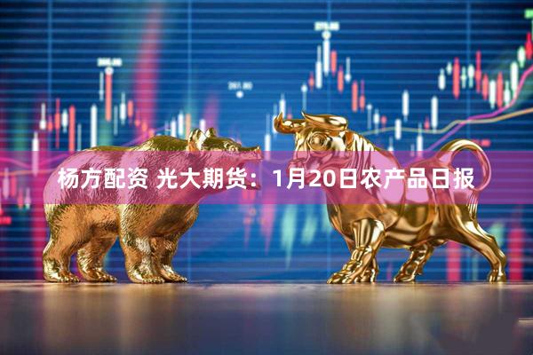 杨方配资 光大期货：1月20日农产品日报
