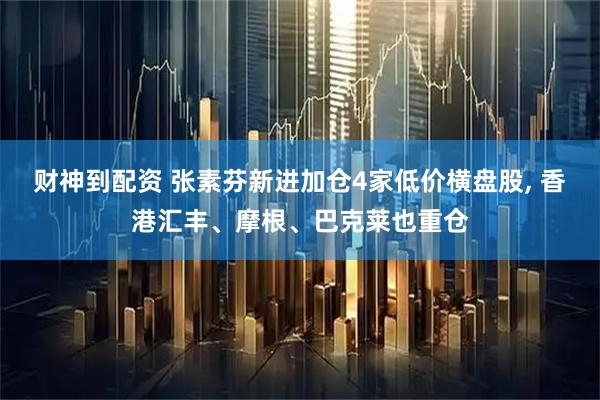 财神到配资 张素芬新进加仓4家低价横盘股, 香港汇丰、摩根、巴克莱也重仓