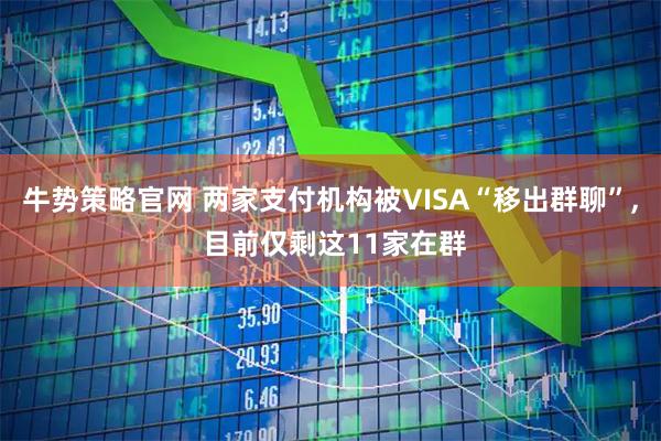 牛势策略官网 两家支付机构被VISA“移出群聊”, 目前仅剩这11家在群
