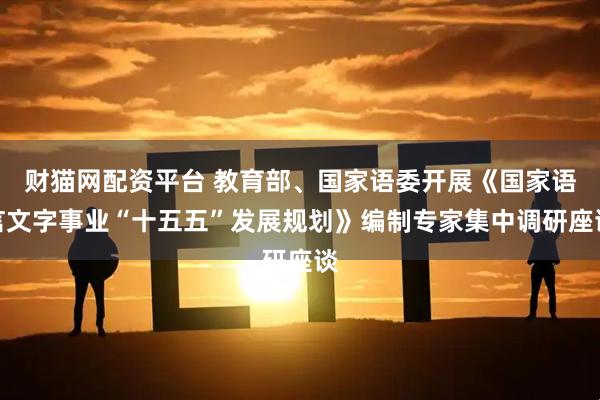 财猫网配资平台 教育部、国家语委开展《国家语言文字事业“十五五”发展规划》编制专家集中调研座谈